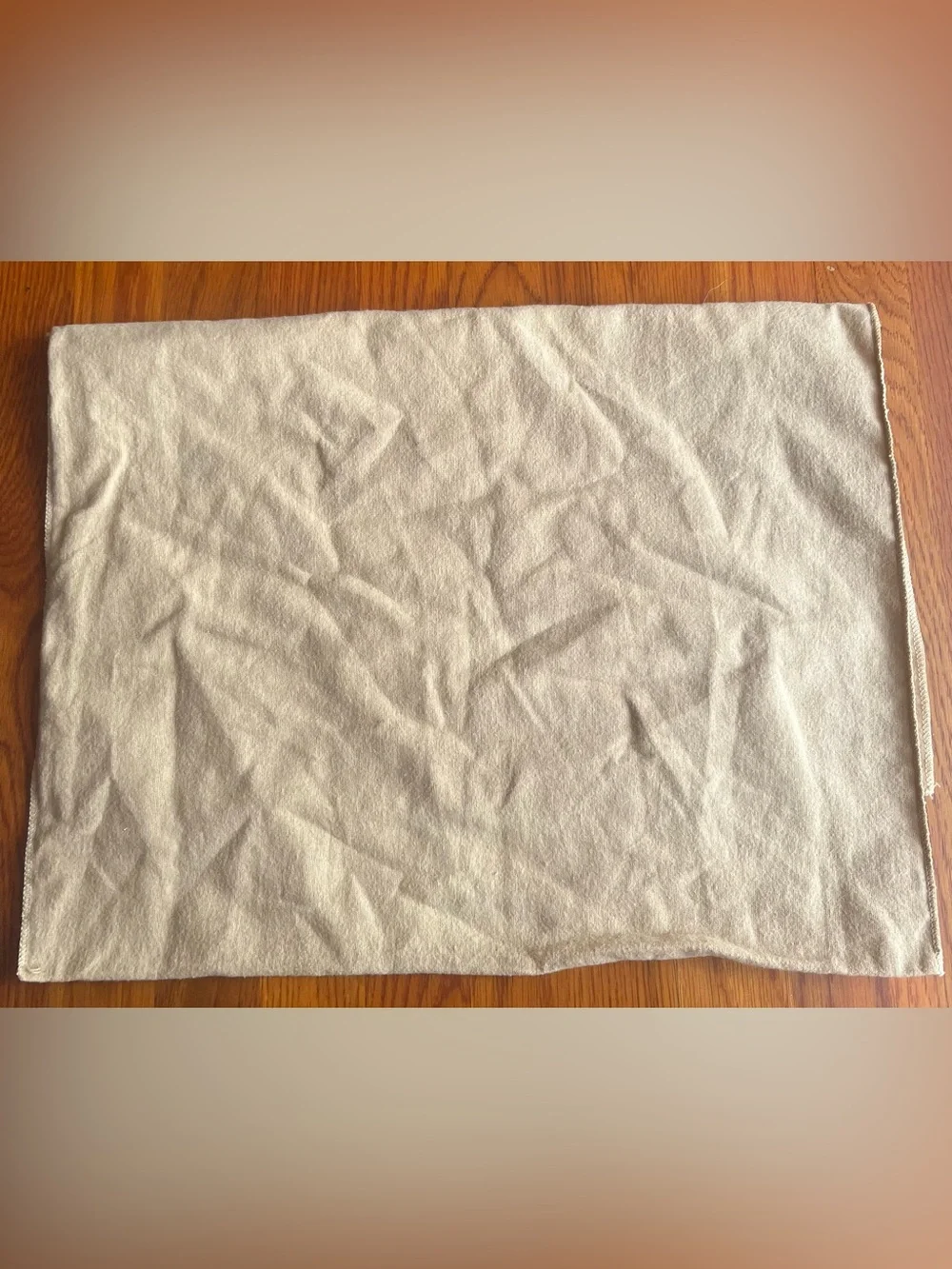 Louis Vuitton dust bag